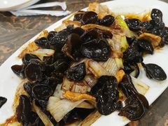 葱烧木耳-张包铺(道外店)
