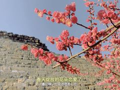 -北京明城墙遗址公园