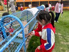 -SM广场