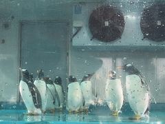 -沈阳奥林匹克体育中心