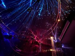 -Darling Queen·Mini·Live·House