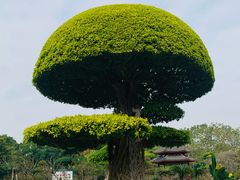 -南宁南湖公园
