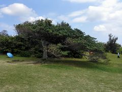 -鹅銮鼻公园
