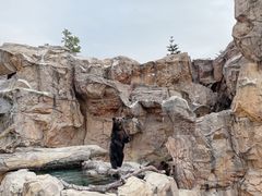 -珠海长隆海洋王国