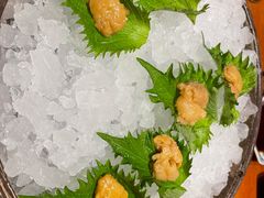 -月龍吟(朝龙汇店)
