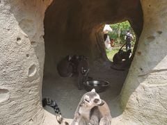 -杭州野生动物世界