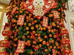 -上海小南国(国会店)