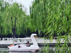 -丰台花园