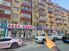 -青奢宠物·青奢猫舍