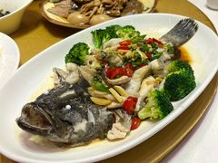 -新海利海鲜城·41年珠海老字号(夏湾店)