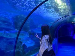 -左海海底世界