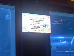 -太平洋海底世界