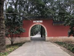 -灵谷景区