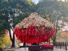 -狼山风景名胜区