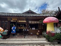 -菌自由丨野生菌火锅特色庭院餐厅(丽江古城店)