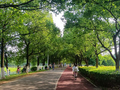 -艾溪湖湿地公园