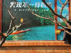 -上海海湾国家森林公园