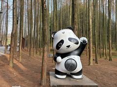-山王坪喀斯特国家生态公园