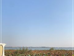 -七的湖·晚芳亭·阳澄湖农家菜·大闸蟹(莲花岛店)