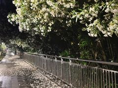 -钟山体育运动公园