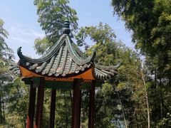 -长沙黑麋峰国家森林公园