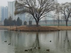 -将府公园