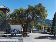 -青峰峡国家森林公园