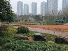 -重庆彩云湖湿地公园