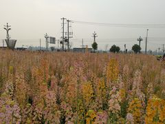 -中国天府农业博览园