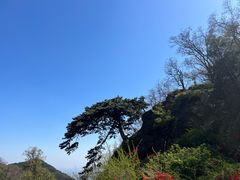 -泰山风景名胜区