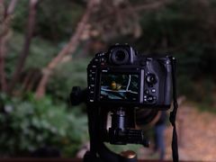 -杭州半山国家森林公园