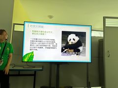 -中国大熊猫保护研究中心雅安碧峰峡基地