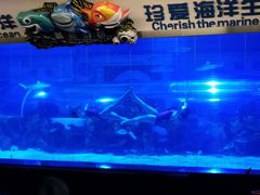 -成都浩海立方海洋公园