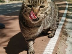 -北京凤凰岭