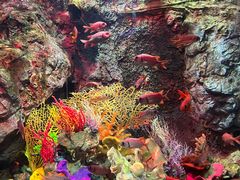 -太平洋海底世界