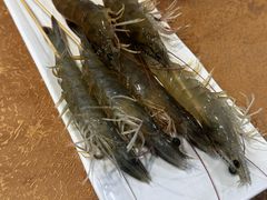 -濠轩阁特色生蚝火锅(水湾路店)