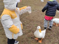 -Club Med地中海俱乐部·桂林度假村