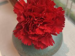 -翡翠江南(国贸商城店)