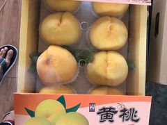 -南汇新场正宗水蜜桃采摘