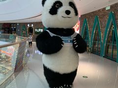 -百年龙袍蟹黄汤包(融创茂店)