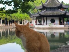 -西园戒幢律寺