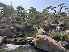 -罗红摄影艺术馆