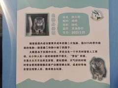 -青藏高原野生动物园