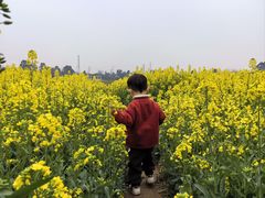 -三圣花乡旅游区