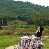 城市出逃计划|山林间的野营⛺️