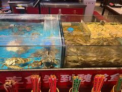 -魏铭鱼头捞饭(晋阳路店)