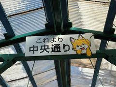 -宫城藏王狐狸村