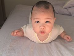 -爱月宝月嫂·育儿嫂(哈尔滨总店)