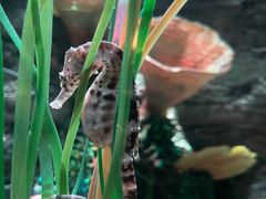 -沈阳海洋探索中心