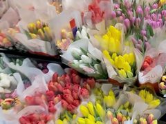 -循礼门鲜花花市(武汉循礼门店)